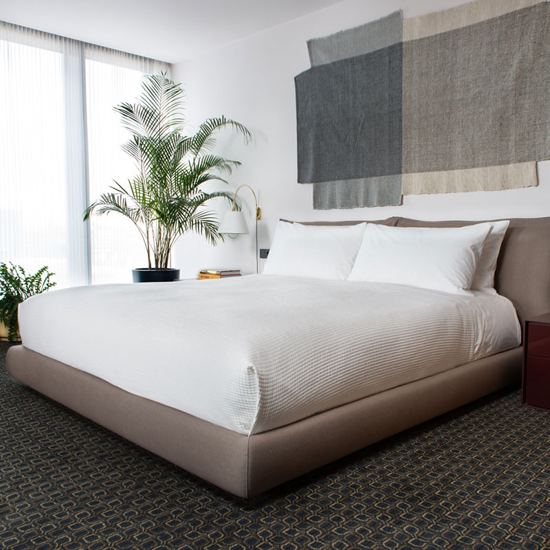 Suite Spot