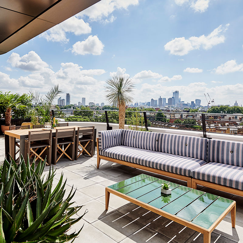 Suite Terrace