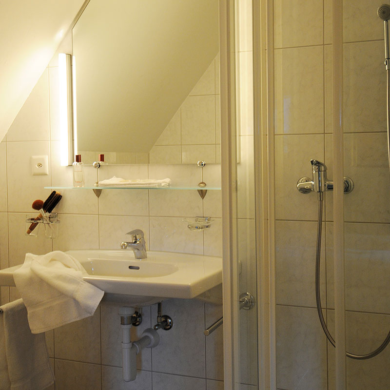 Basic Single Room