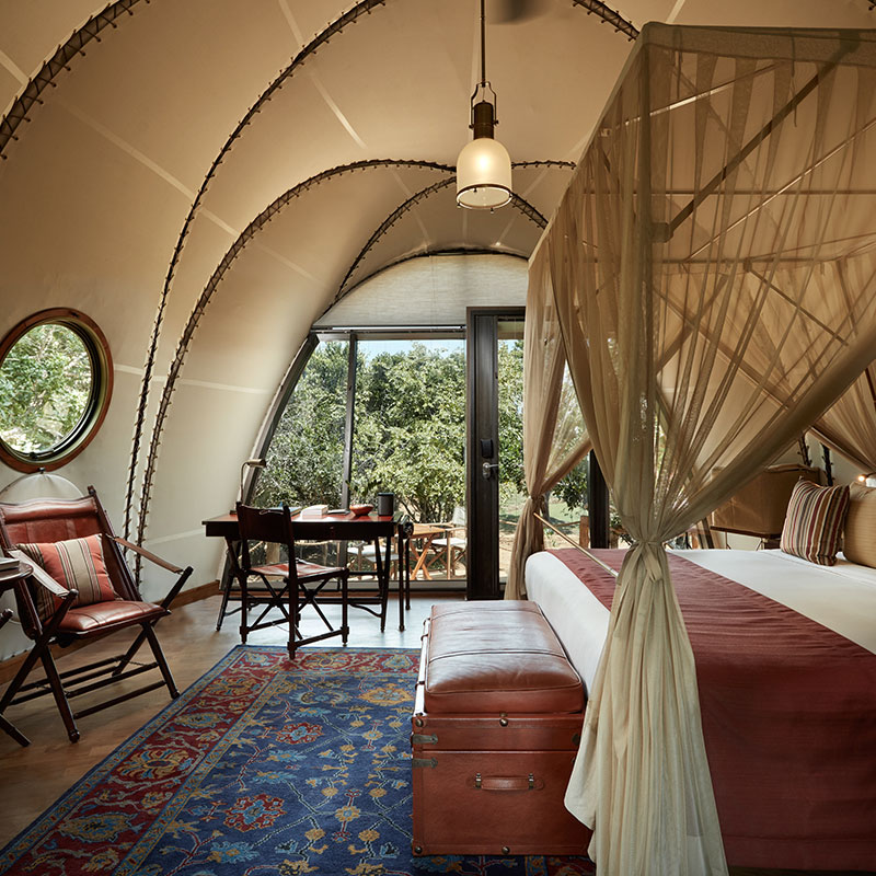 Cocoon Suite