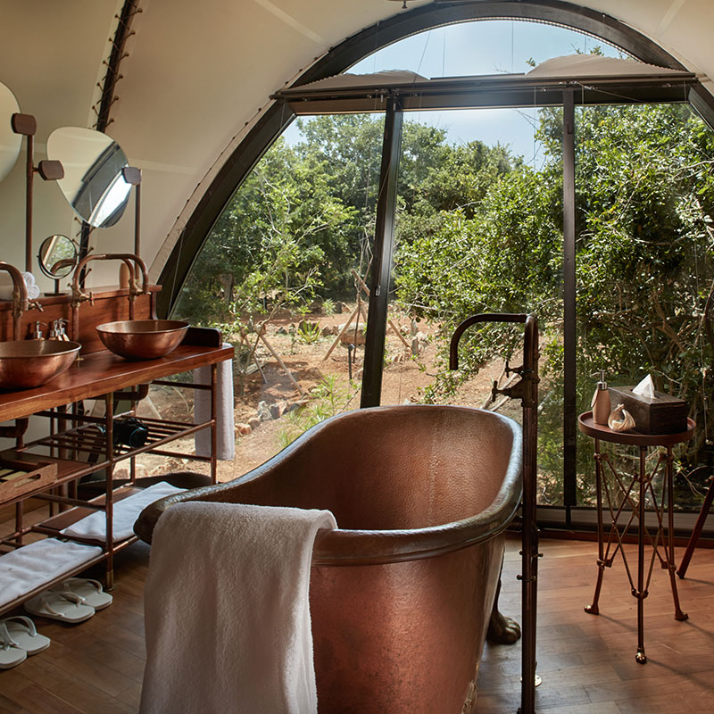 Cocoon Suite