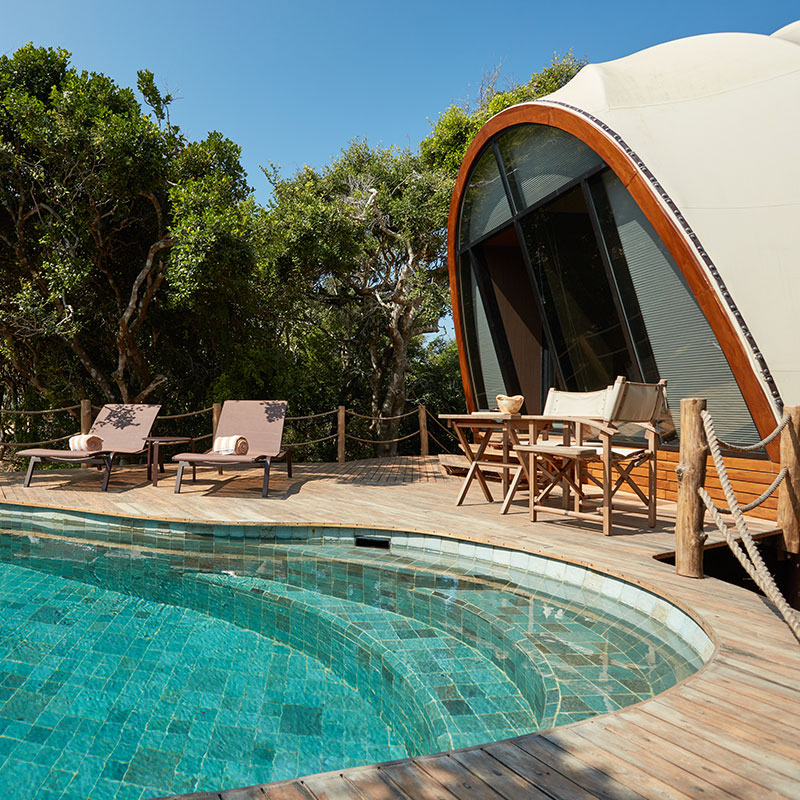 Cocoon Pool Suite