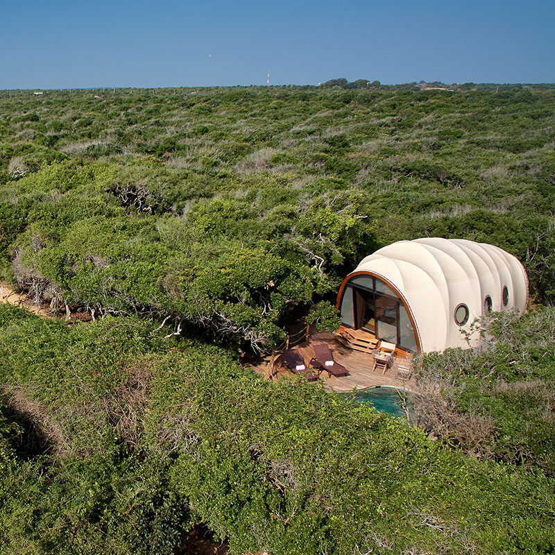 Cocoon Pool Suite