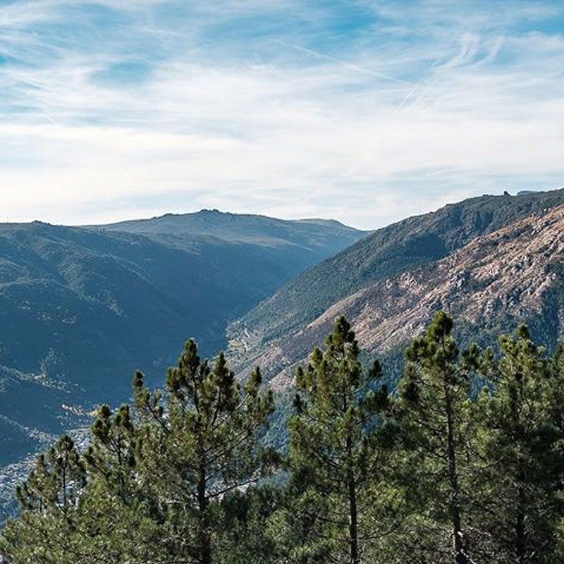 Superior Panorama
