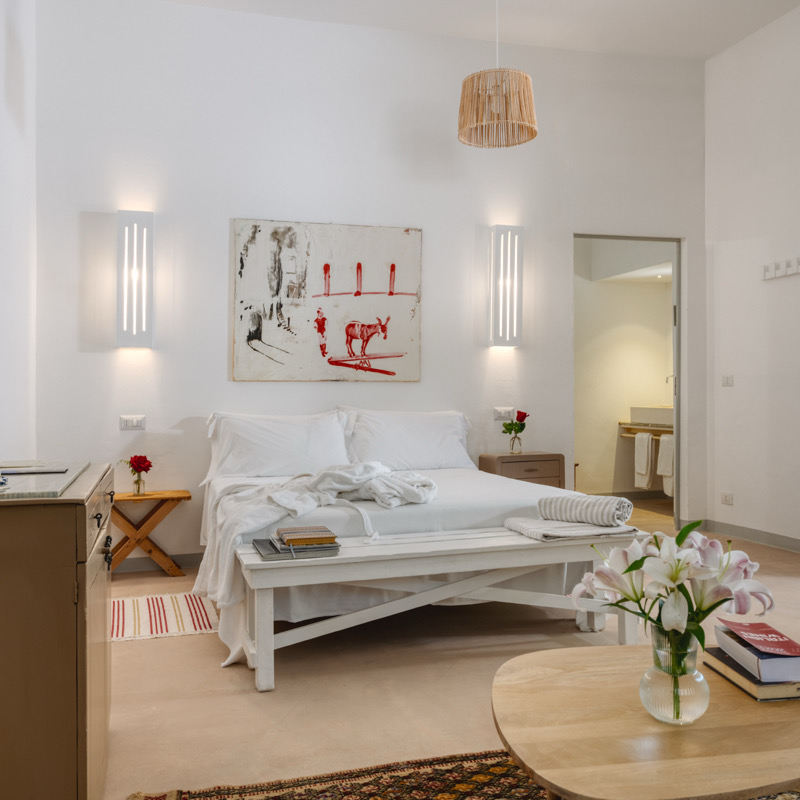 Junior Suite with Plunge Pool & Patio