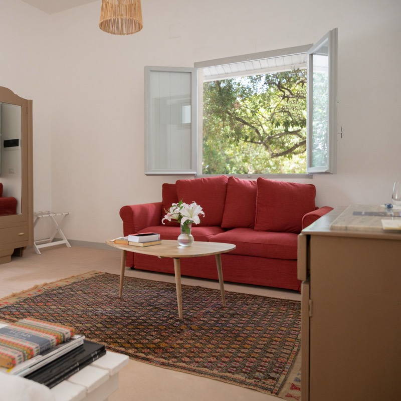 Junior Suite with Plunge Pool & Patio