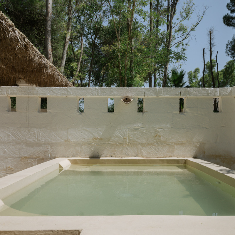 Junior Suite with Plunge Pool & Patio