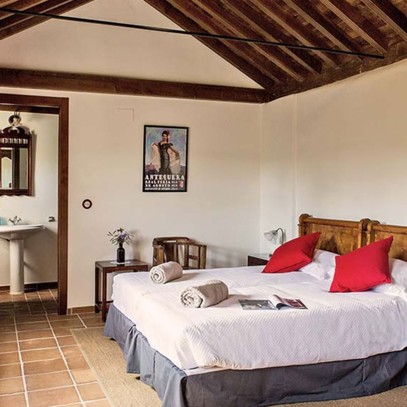 Standard Twin / Double room La Higuera