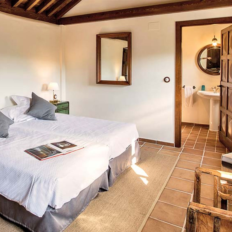 Standard Twin / Double room La Zarza