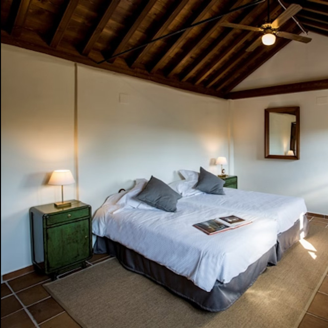 Standard Twin / Double room La Zarza