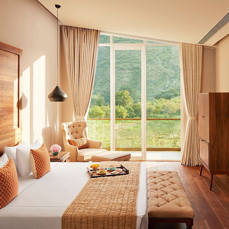 Deluxe Twin Hill View Room