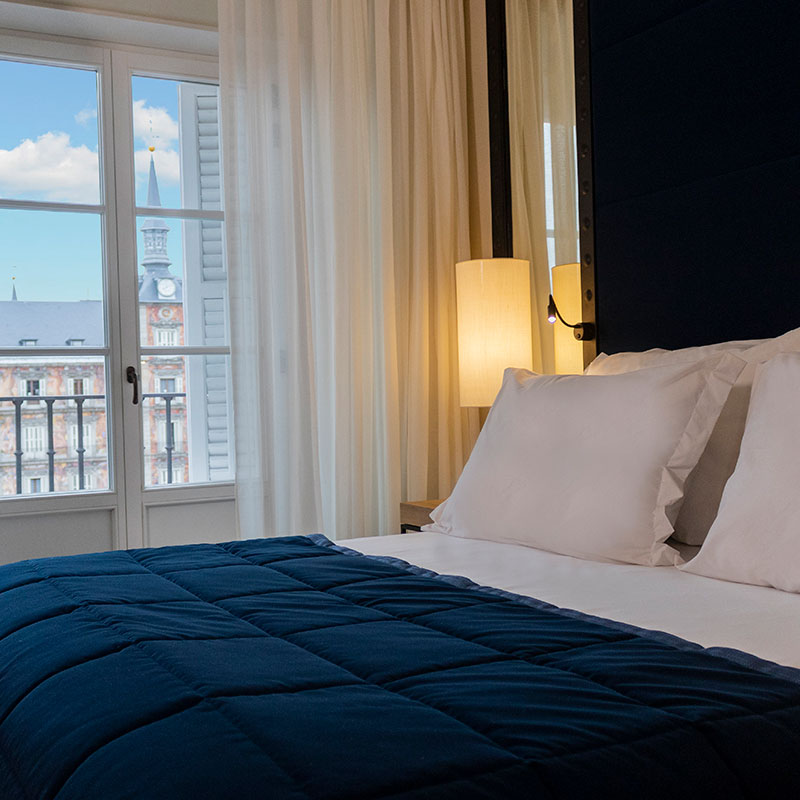 Deluxe Plaza Mayor Room