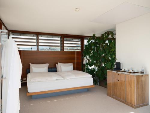 Loft Cube Suite