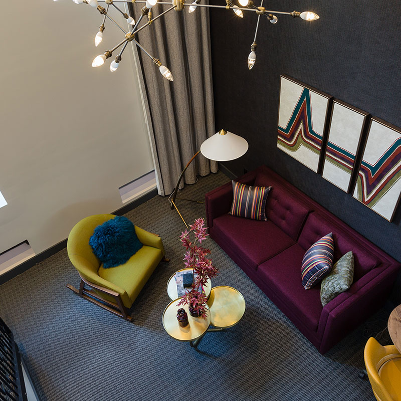 Lark Suite