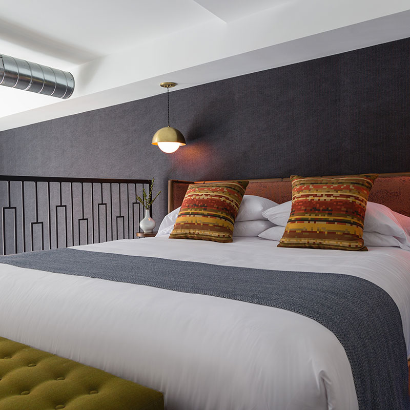 Lark Suite