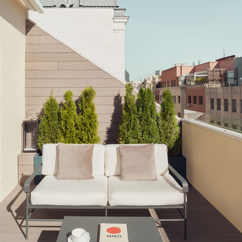 Deluxe Attic with Terrace