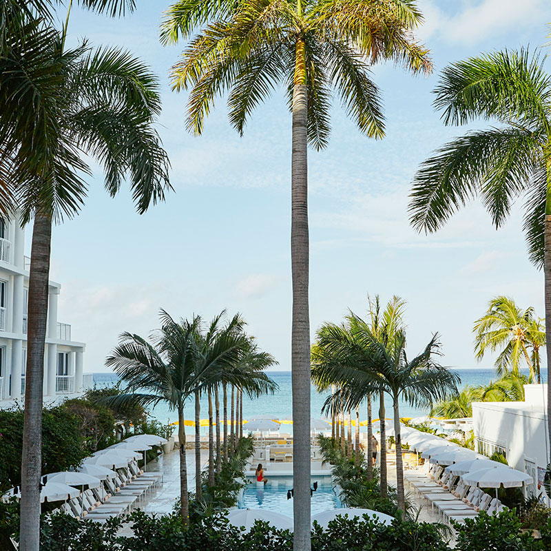 One Bedroom Oceanfacing Terrace  Suite