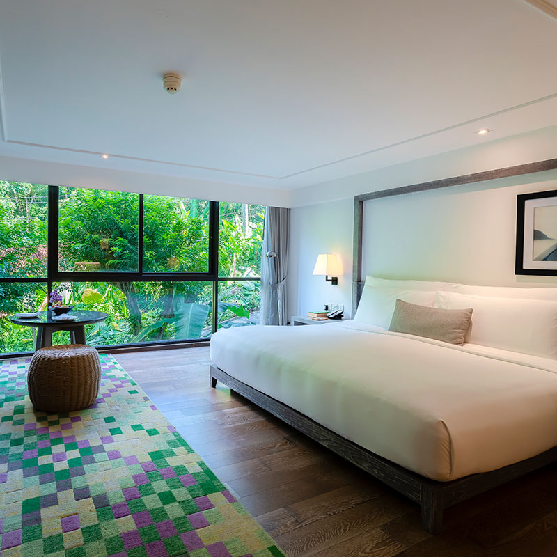 Mountain View Room