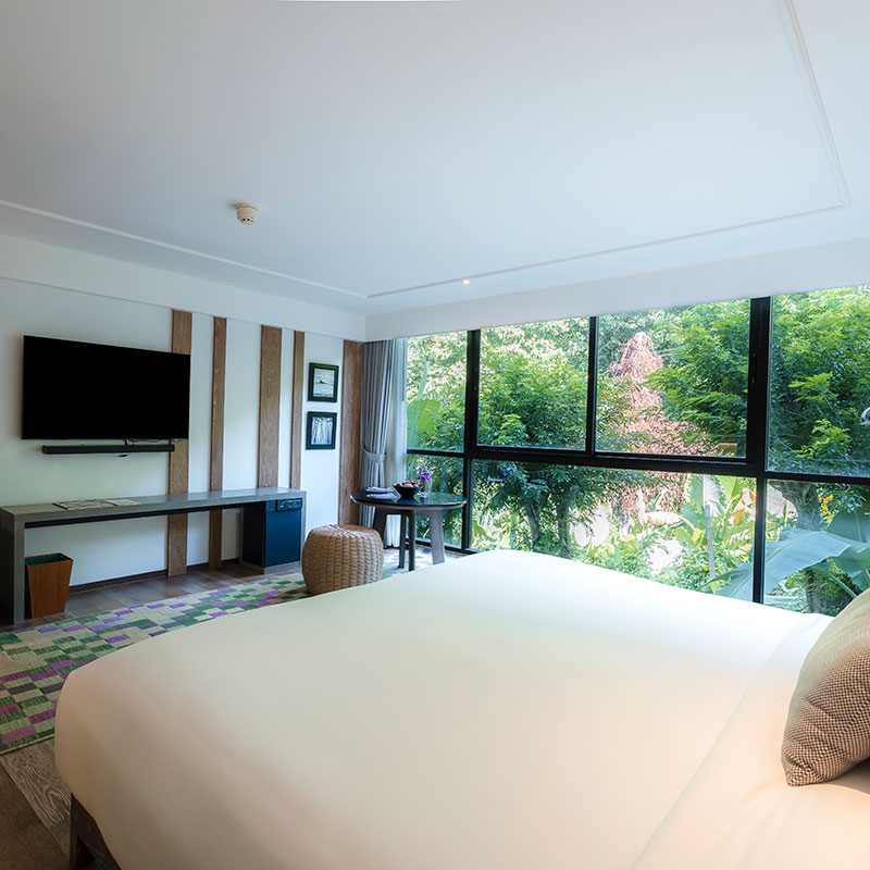 Mountain View Room