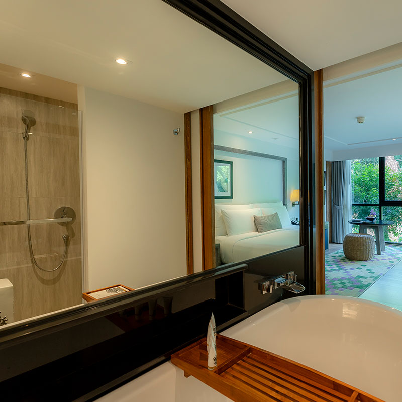 Mountain View Room