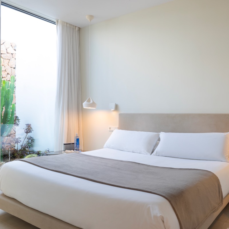 Premier Plus Suite