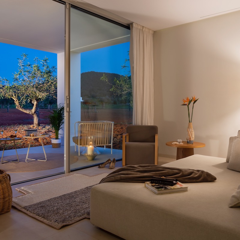 Premier Plus Suite