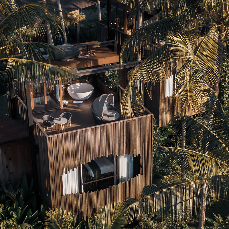 Canopy Suite