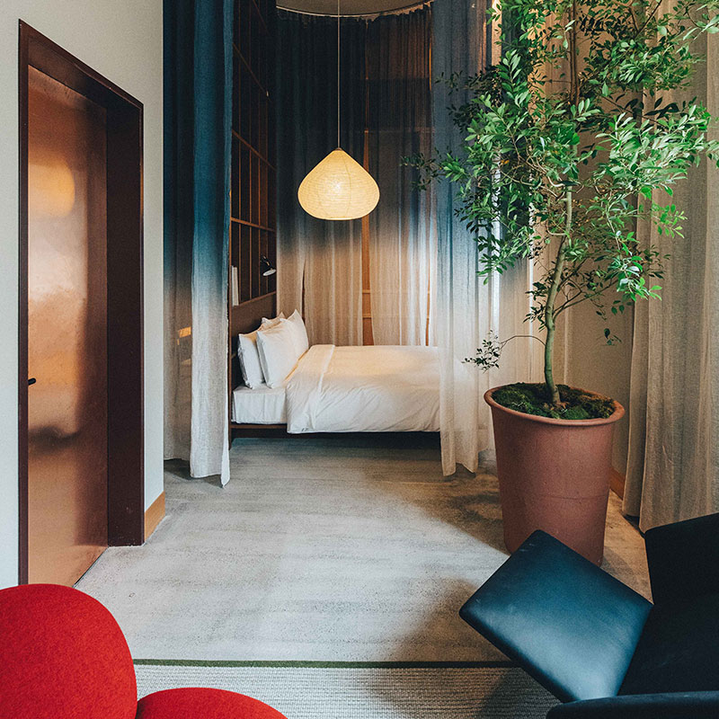 High Ceiling Junior Suite
