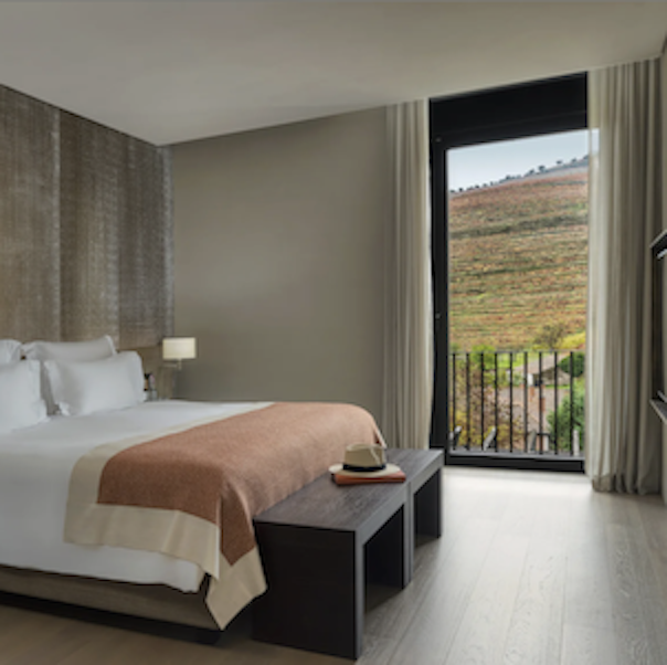 Vineyard Suite