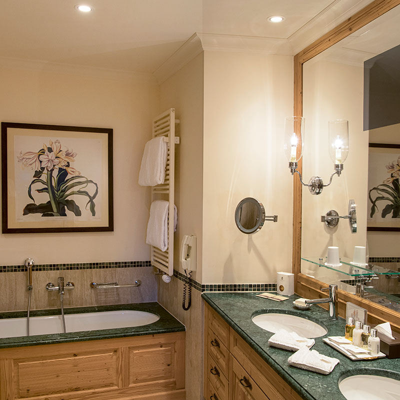 DELUXE SUITE MOUNTAIN VIEW