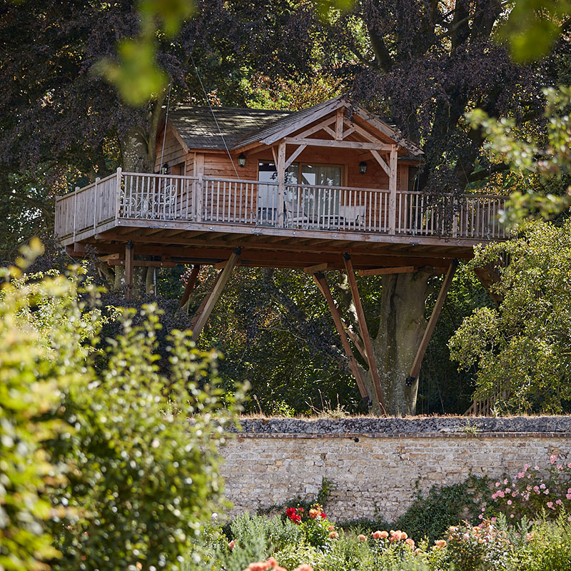 Deluxe Tree House