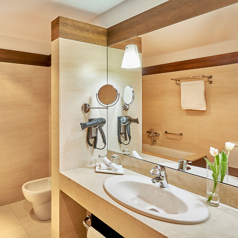 Superior Double or Twin Room with View