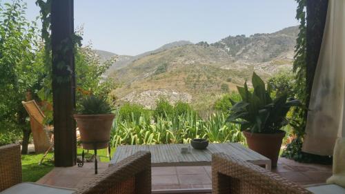 Double Room With Terrace