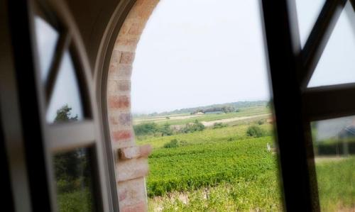 Double Room with view of the vineyards