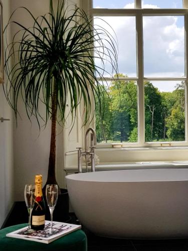 Terrace Suite