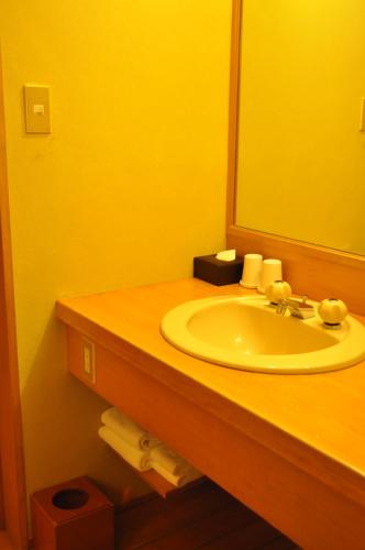 Japanese-Style Room - New Wing (47.7sqm)
