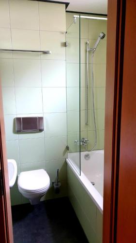 Deluxe Single Room with Queensize Bed and Mountain View 