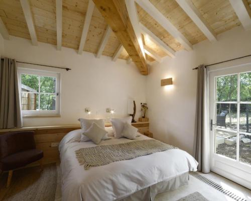 Junior Suite with Terrace - Annex