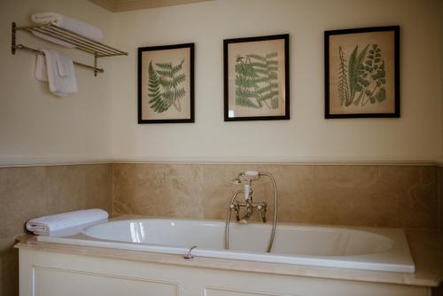 Mews Junior Suite