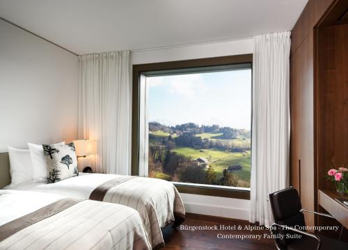 Contemporary Family Suite