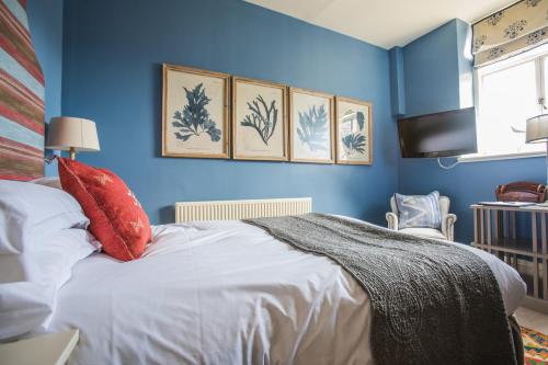 Cozy Cozy Room
