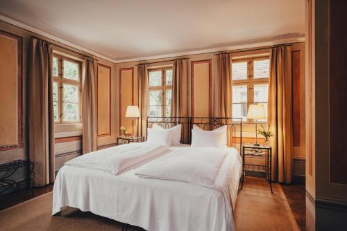 Single Room - Elbauenzimmer