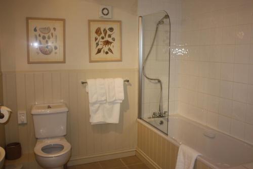 Superior Double or Twin Room with Terrace