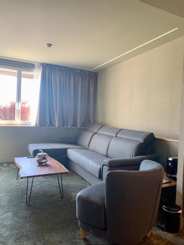 Superior Family Room