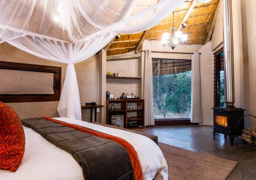Suite - River Lodge 