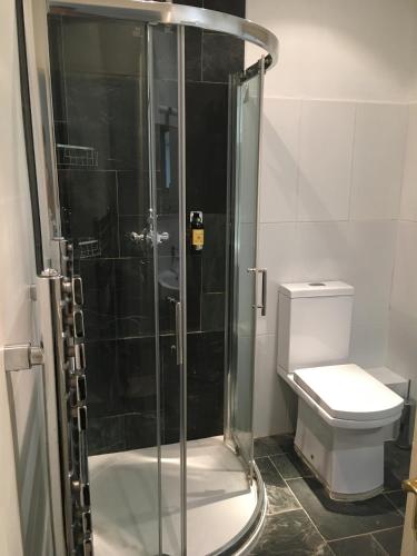 Luxury One-Bedroom Apartment