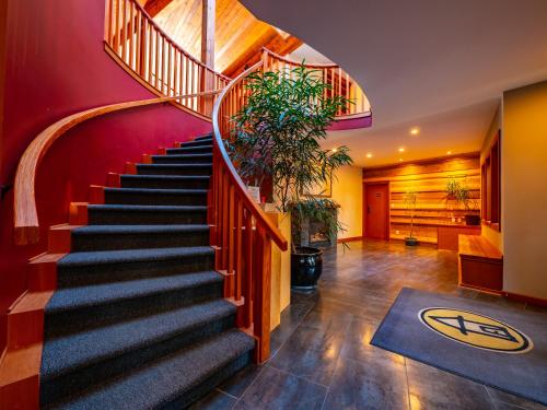 Deluxe King Lodge Suites (No Kids Or Pets)