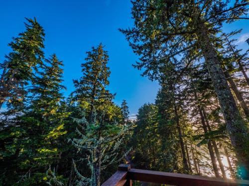 Deluxe King Lodge Suites (No Kids Or Pets)