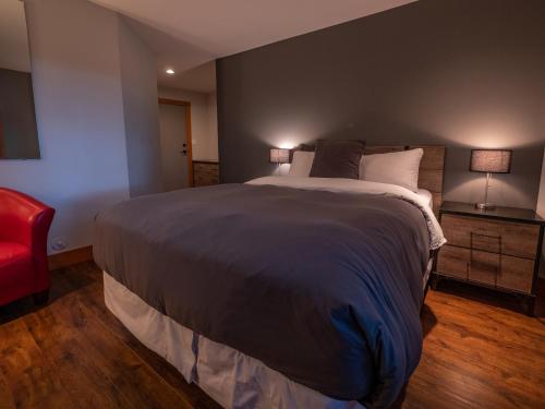 Junior Queen Room (No Kids or Pets)
