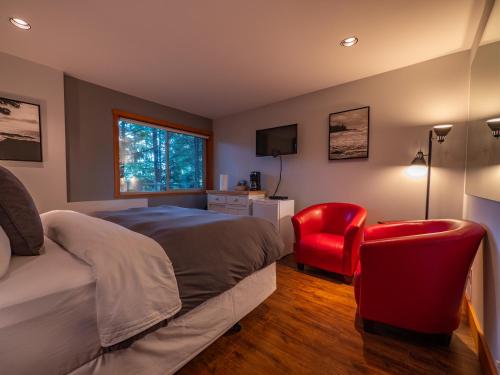 Junior Queen Room (No Kids or Pets)